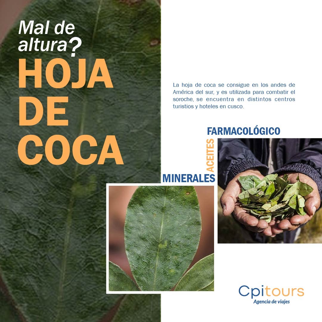 La Hoja de Coca y el Mal de Altura